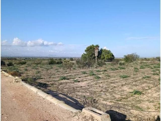 Terreno en Venta en Elche Elx