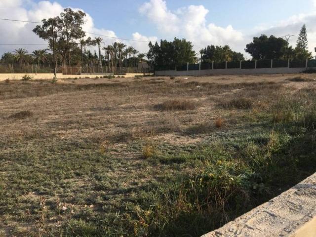 Terreno en Venta en Elche Elx