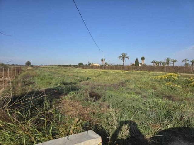 Terreno en Venta en Elche Elx