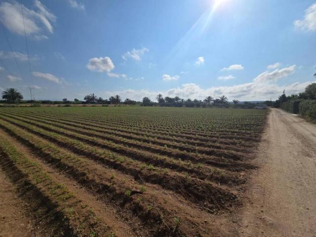 Terreno en Venta en Elche Elx