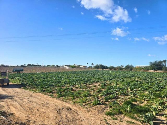 Terreno en Venta en Elche Elx