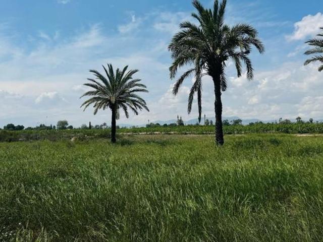 Terreno en venta en Elche, La Hoya Daimes El Derramador