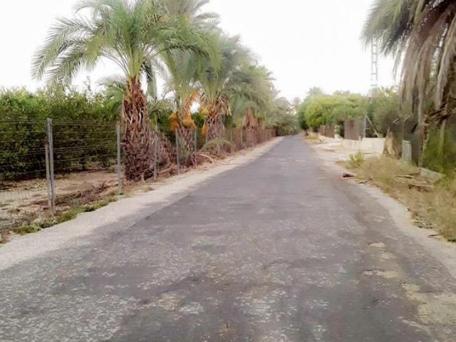 Terreno en venta en Elche, Partida Daimes, 03294