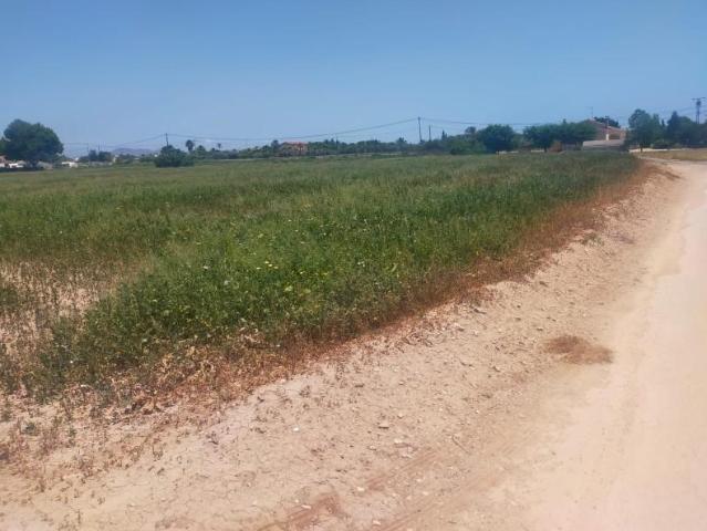 Terreno en venta en Elche, Perleta