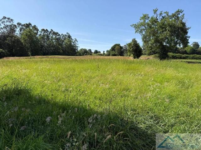 Terreno en Venta en Entrambasaguas