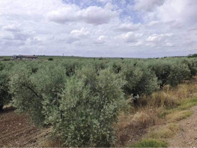 Terreno en Venta en Entrín Bajo