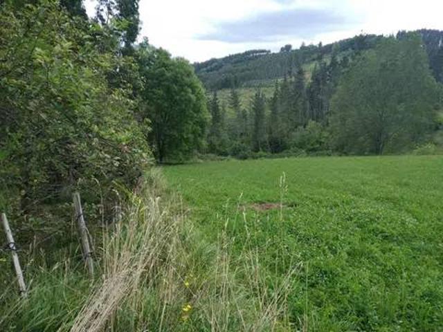 Terreno en Venta en Errigoiti