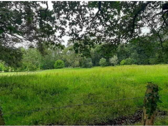 Terreno en Venta en Escalante