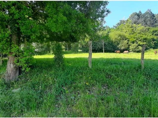 Terreno en Venta en Escalante