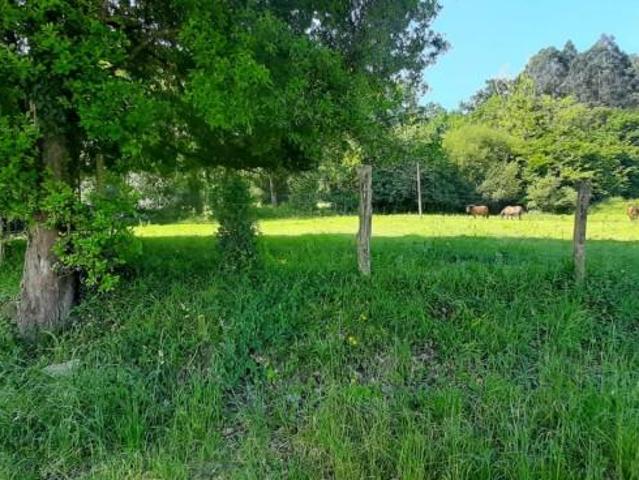Terreno en venta en Escalante, Escalante