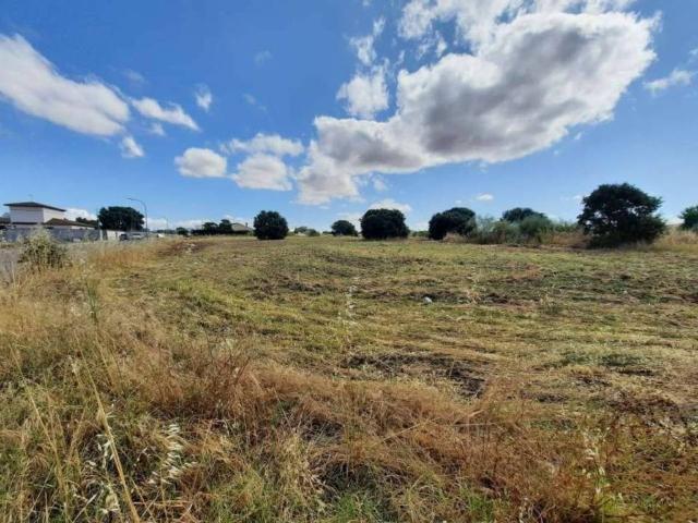 Terreno en Venta en Escalona