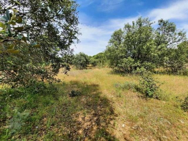 Terreno en Venta en Escalona