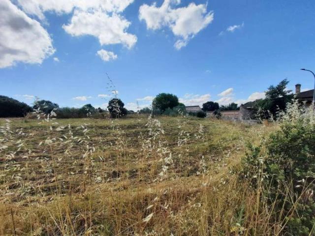 Terreno en Venta en Escalona