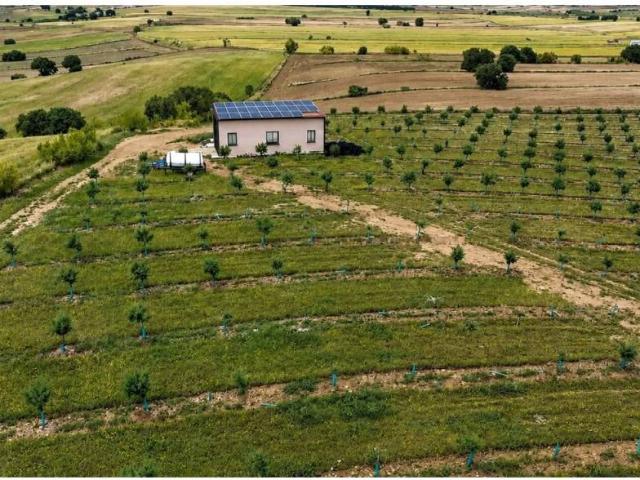 Terreno en Venta en Escalona