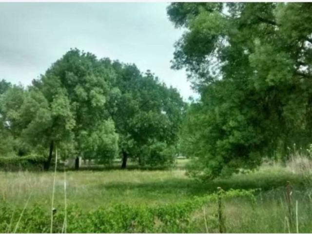 Terreno en Venta en Escalona