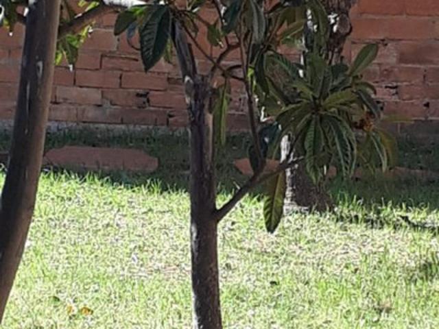 Terreno en venta en Esparreguera, La Plana