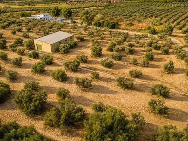 Terreno en Venta en Espartinas