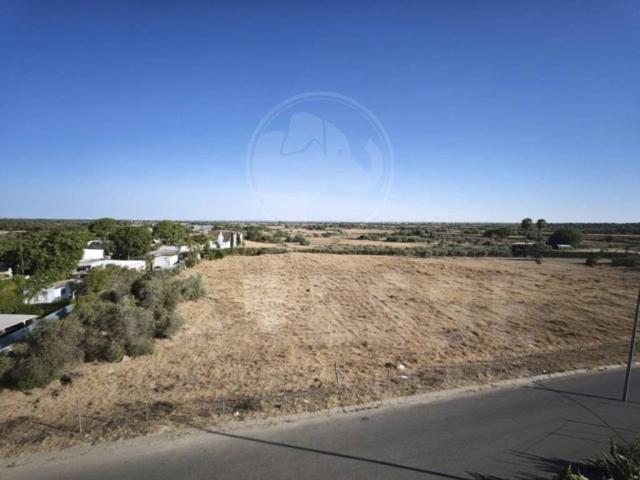 Terreno en Venta en Espartinas