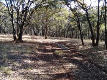 TERRENO EN VENTA EN ESTADO DE MÉXICO