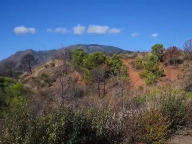 Terreno en venta en Estepona, Forest Hills