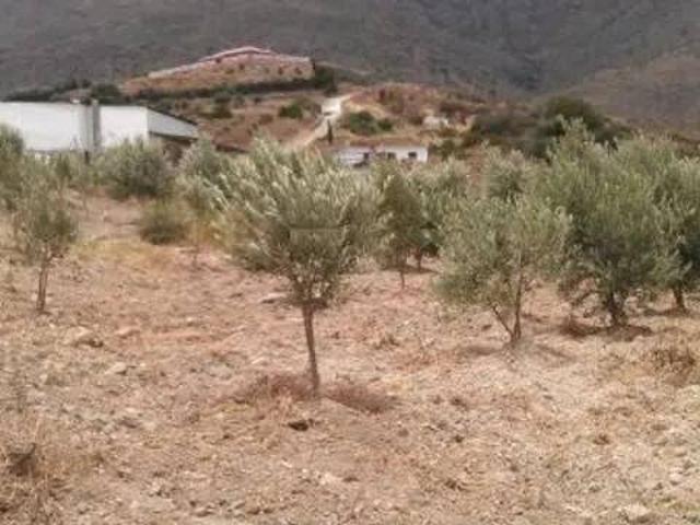 Terreno en Venta en Estepona