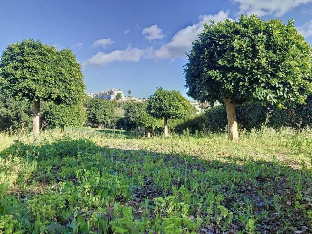 Terreno en Venta en Estepona