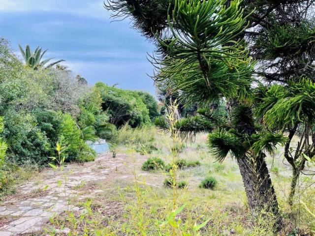 Terreno en Venta en Estepona