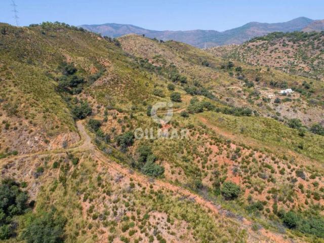 Terreno en Venta en Estepona