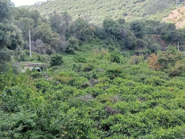 Terreno en Venta en Estepona