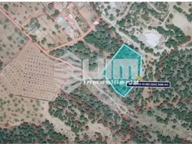 Terreno en Venta en Estivella