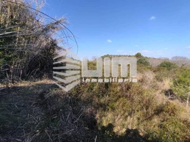 Terreno en Venta en Estivella