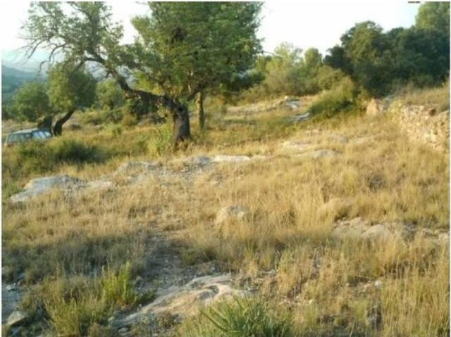 Terreno en Venta en Estivella