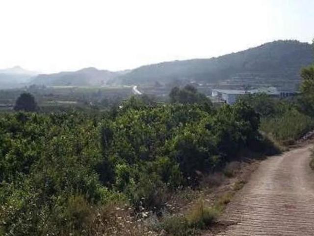 Terreno en venta en Estubeny, Comunidad valenciana