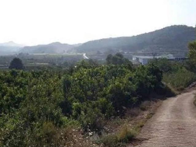 Terreno en Venta en Estubeny