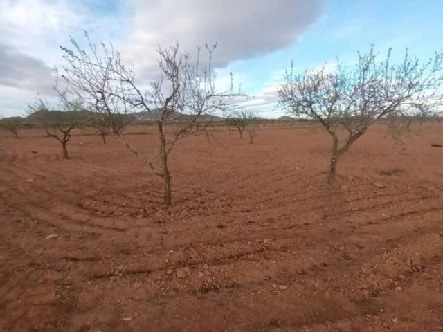 Terreno en Venta en Fuente Álamo de Murcia