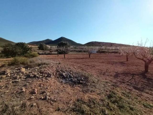 Terreno en Venta en Fuente Álamo de Murcia