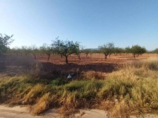 Terreno en Venta en Fuente Álamo de Murcia