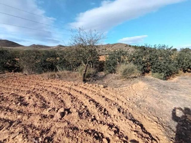 Terreno en Venta en Fuente Álamo de Murcia