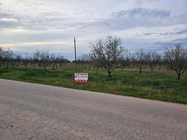 Terreno en Venta en Fuente Álamo de Murcia
