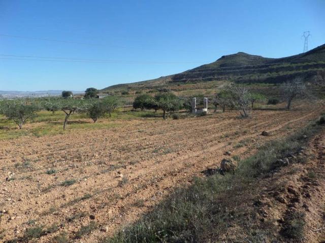 Terreno en Venta en Fuente Álamo de Murcia