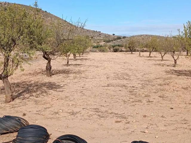 Terreno en Venta en Fuente Álamo de Murcia