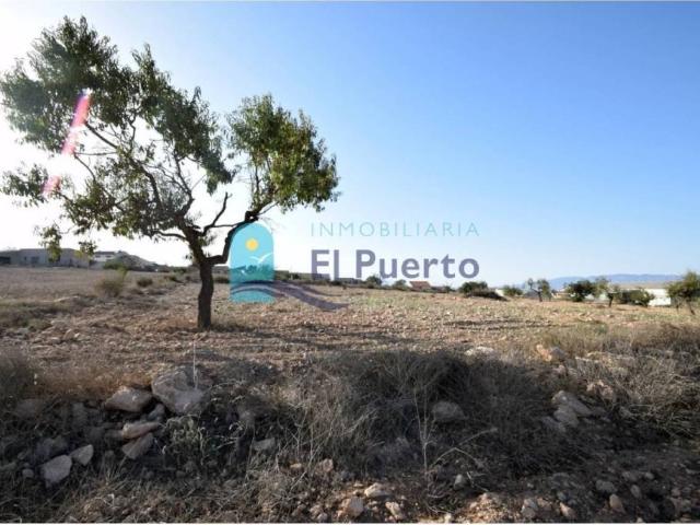 Terreno en Venta en Fuente Álamo de Murcia