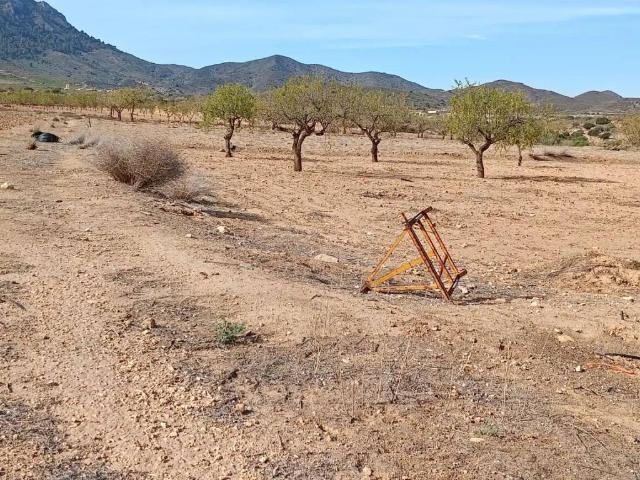 Terreno en Venta en Fuente Álamo de Murcia