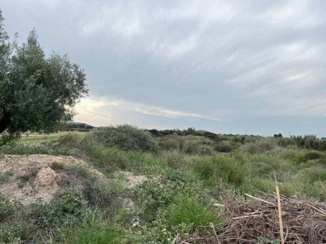 Terreno en Venta en Fuente Álamo de Murcia