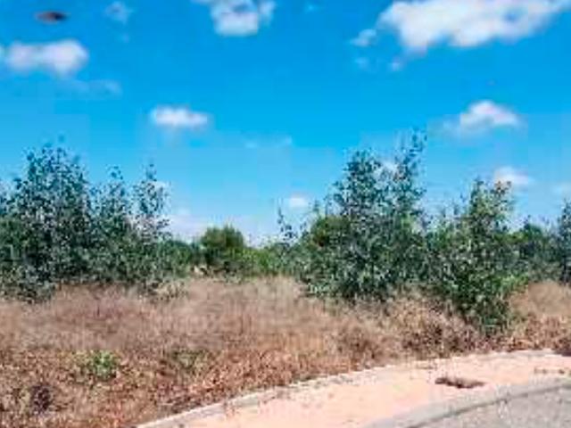 Terreno en venta en Fuente Álamo De Murcia