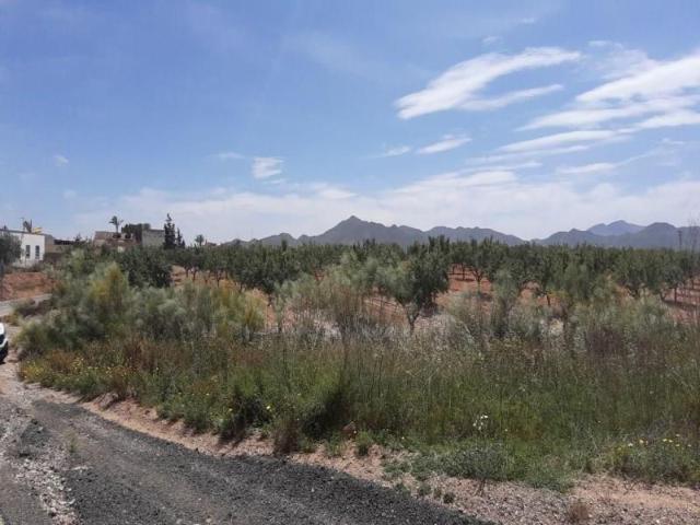 Terreno en venta en Fuente Álamo de Murcia, Los Almagros Los Paganes El Escobar