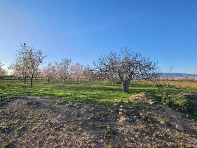 Terreno en venta en Fuente Álamo de Murcia, La Pinilla Las Palas