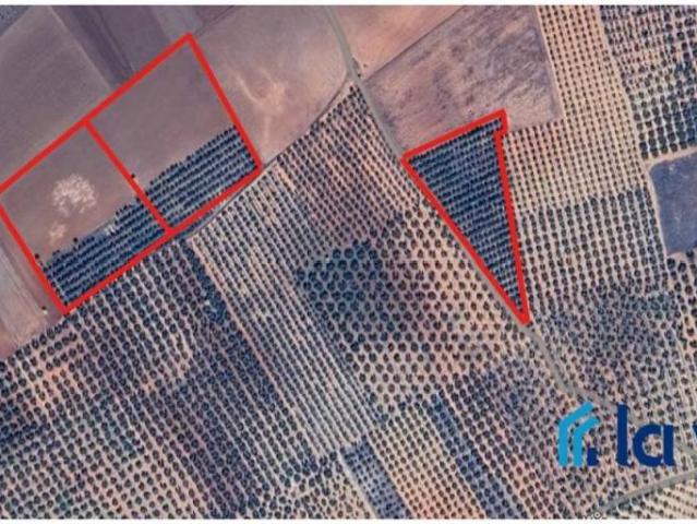 Terreno en Venta en Fuente de Piedra