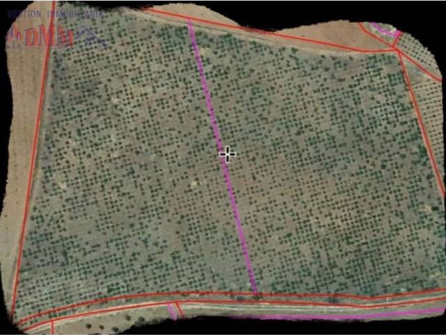 Terreno en Venta en Fuente el Fresno