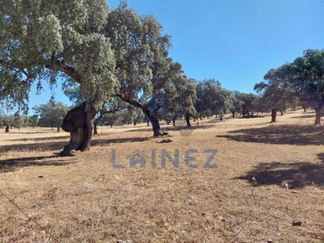 Terreno en venta en Fuente Obejuna, Fuente Obejuna